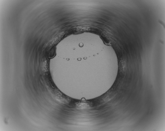 X0000101150224200807251055