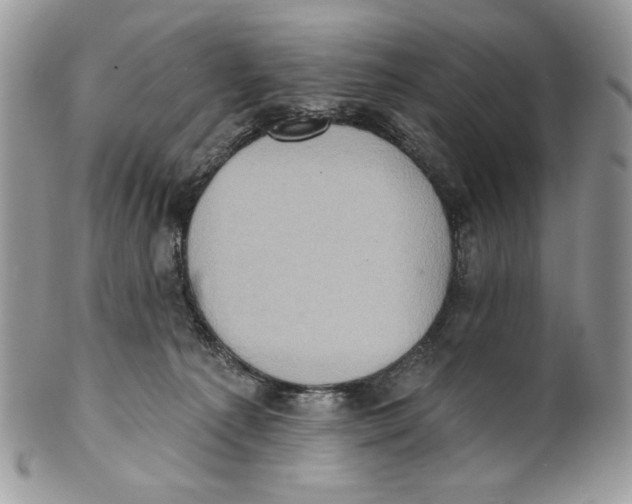 X0000101150225200807251055