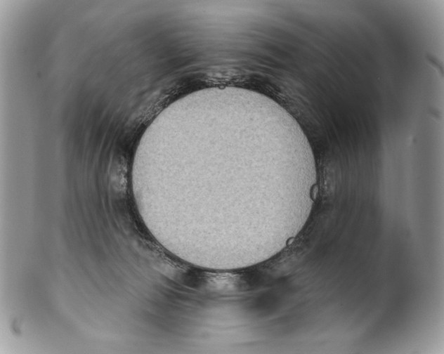 X0000101150226200807251055
