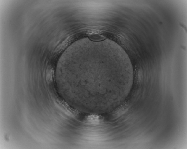 X0000101150227200807251055