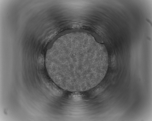 X0000101150228200807251055