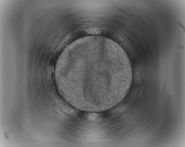 X0000101150229200807251055