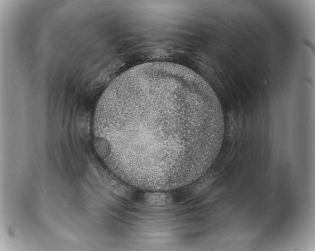 X0000101150230200807251055