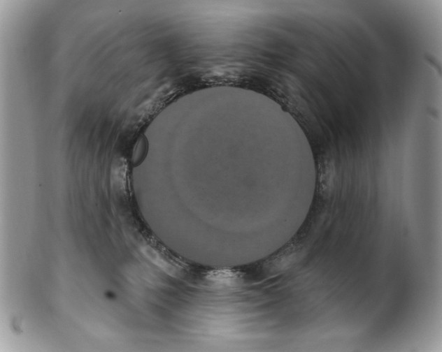 X0000101150231200807251055