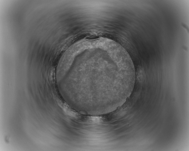X0000101150233200807251055