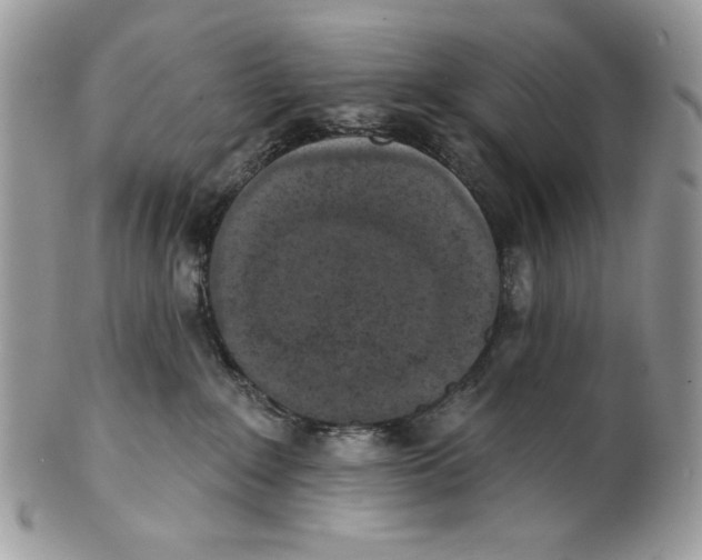 X0000101150235200807251055