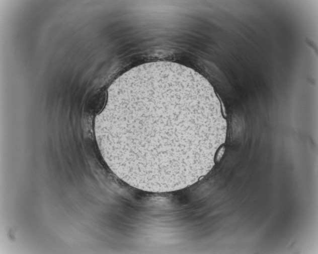 X0000101150236200807251055