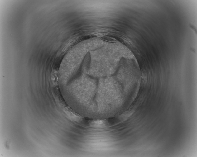 X0000101150237200807251055