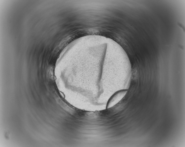 X0000101150238200807251055