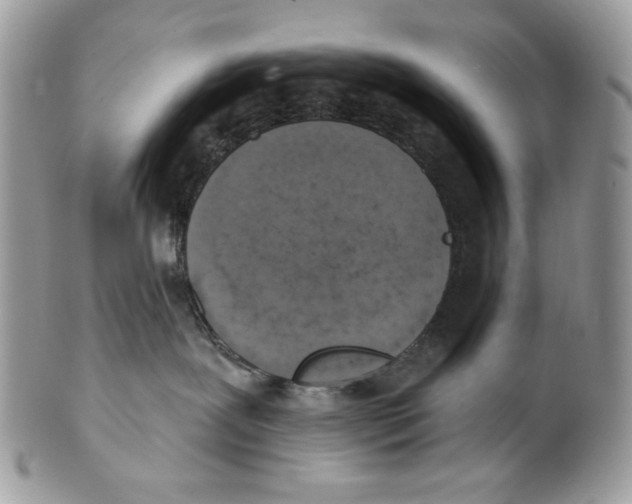 X0000101150239200807251055