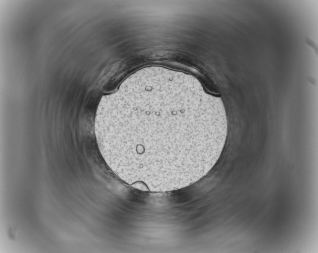 X0000101150240200807251055