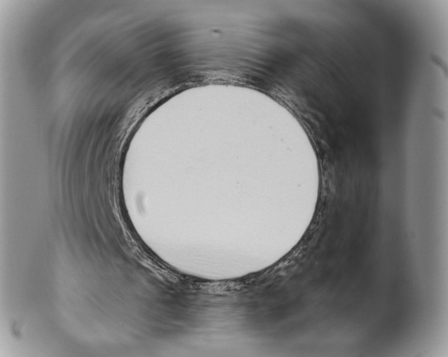 X0000101150241200807251054