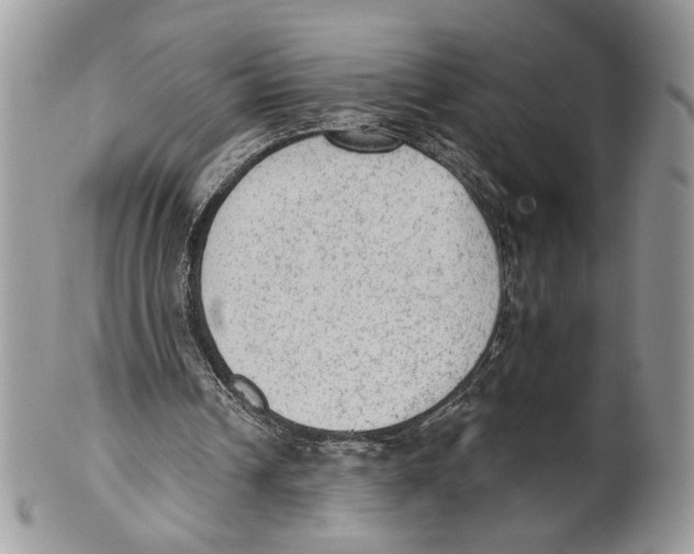 X0000101150242200807251054