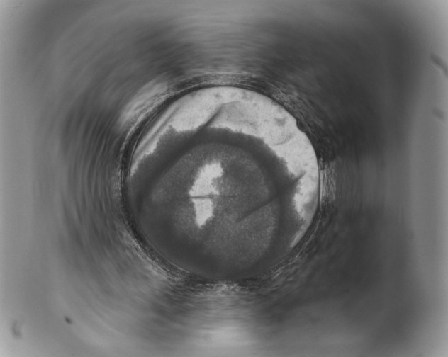 X0000101150243200807251054