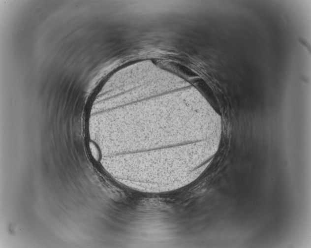 X0000101150244200807251054