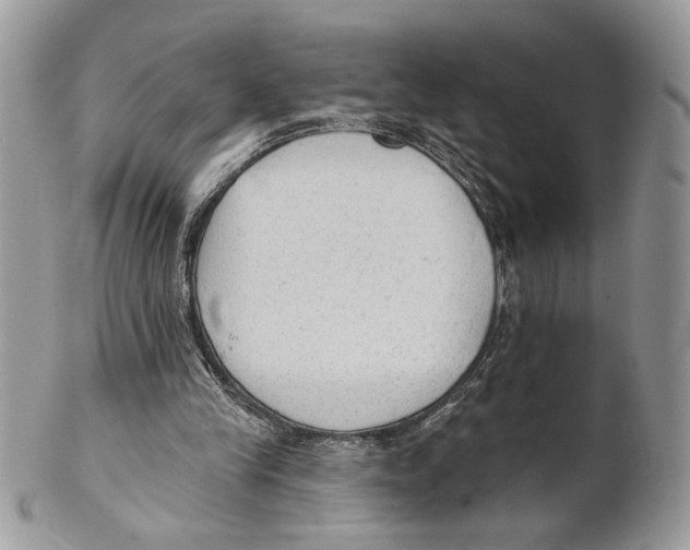 X0000101150245200807251054
