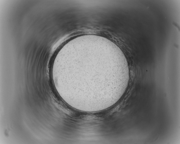 X0000101150246200807251054