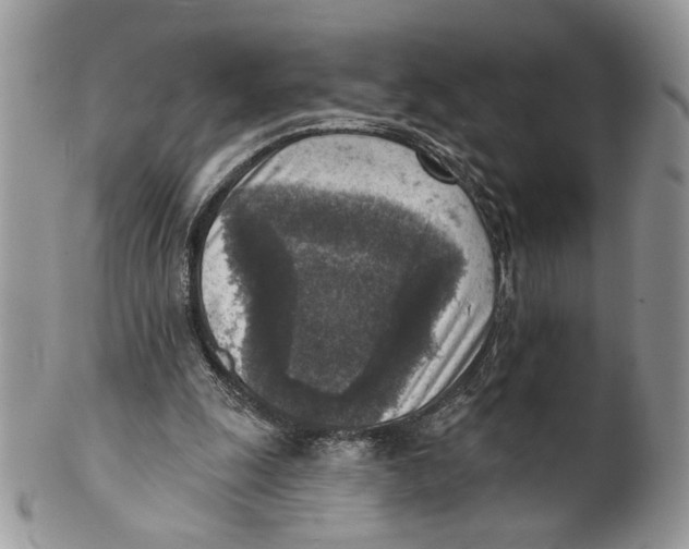 X0000101150247200807251054