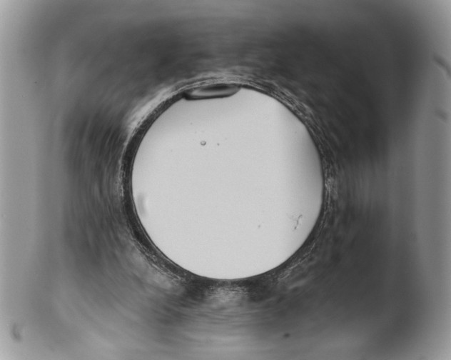 X0000101150248200807251054