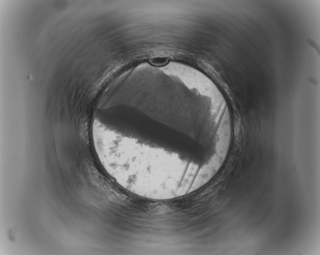 X0000101150249200807251054