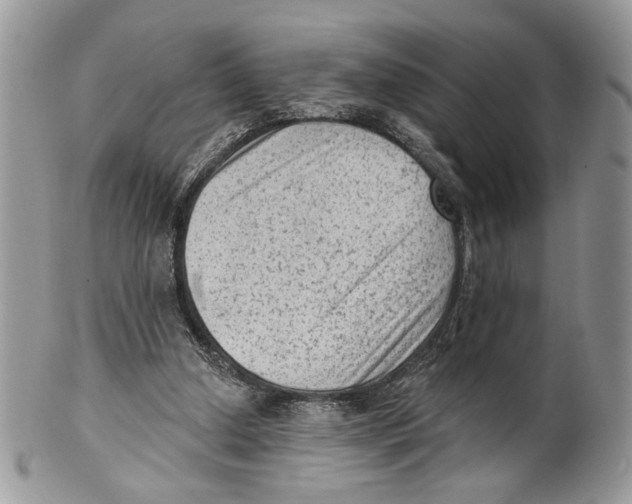 X0000101150250200807251054