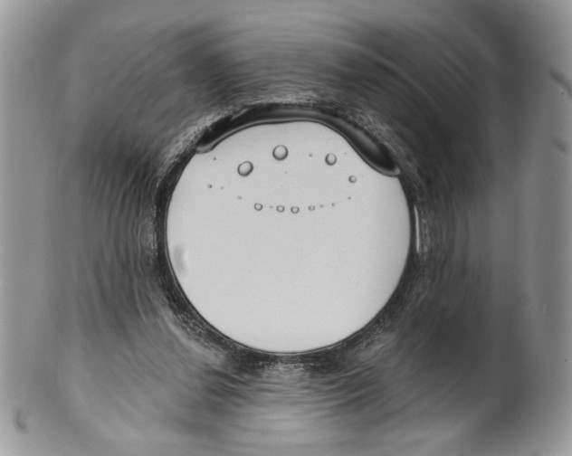 X0000101150252200807251054