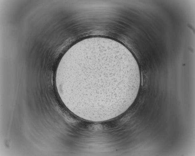 X0000101150253200807251054