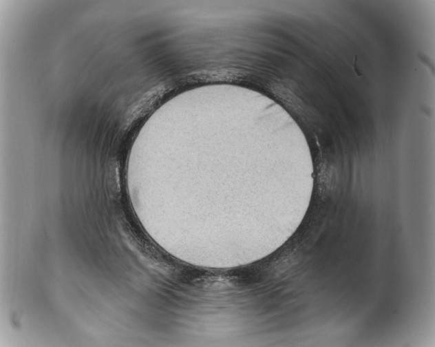 X0000101150254200807251054