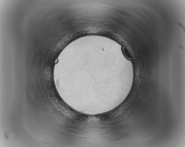 X0000101150257200807251054
