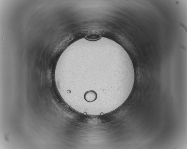 X0000101150258200807251054