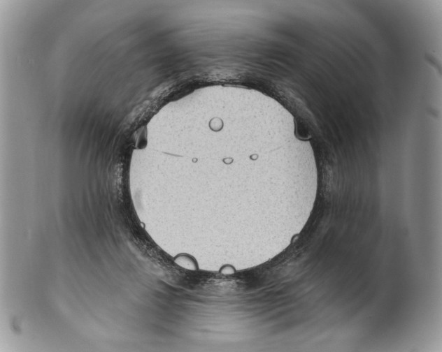 X0000101150260200807251054