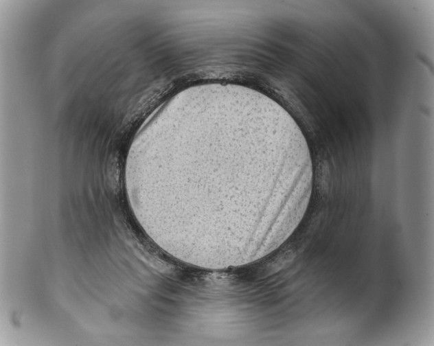 X0000101150261200807251054