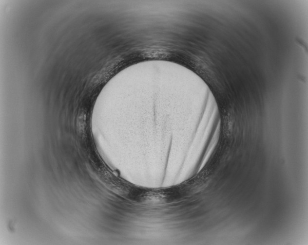 X0000101150263200807251054