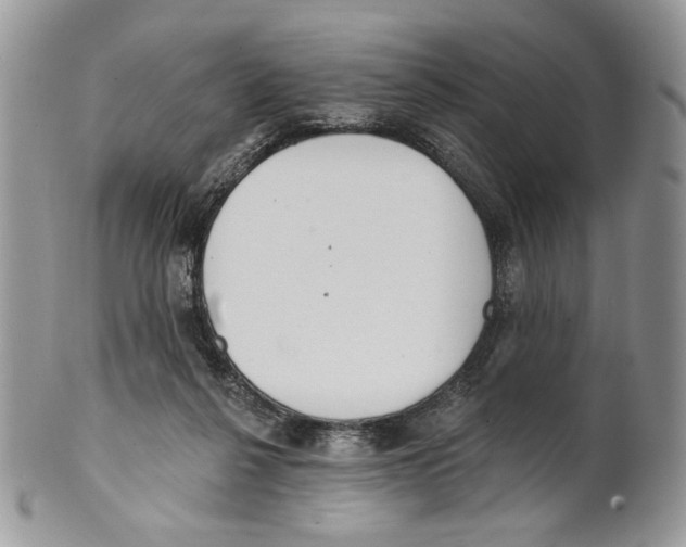 X0000101150264200807251054