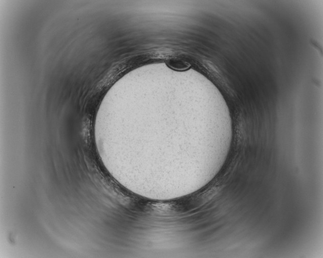 X0000101150265200807251055