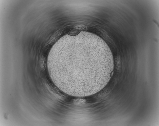 X0000101150266200807251055