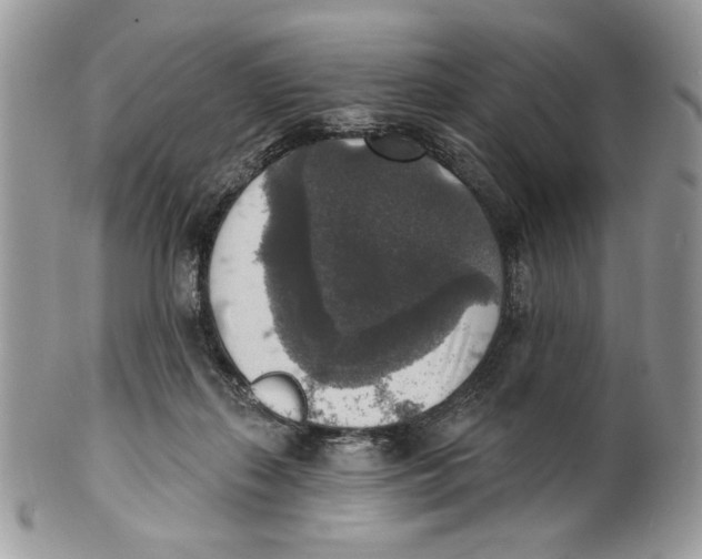 X0000101150267200807251055