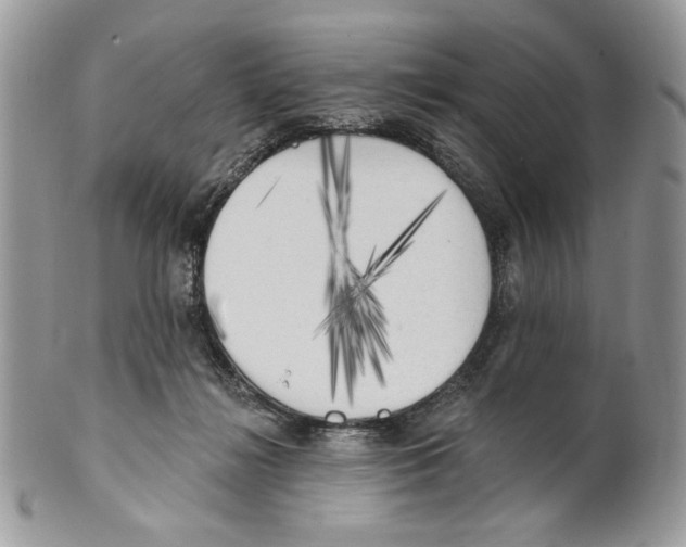 X0000101150268200807251055