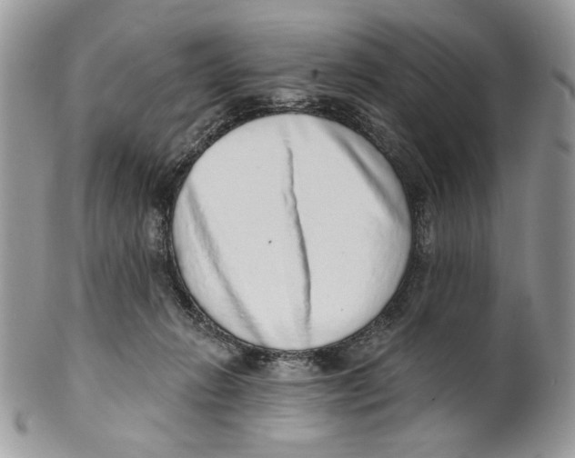 X0000101150270200807251055
