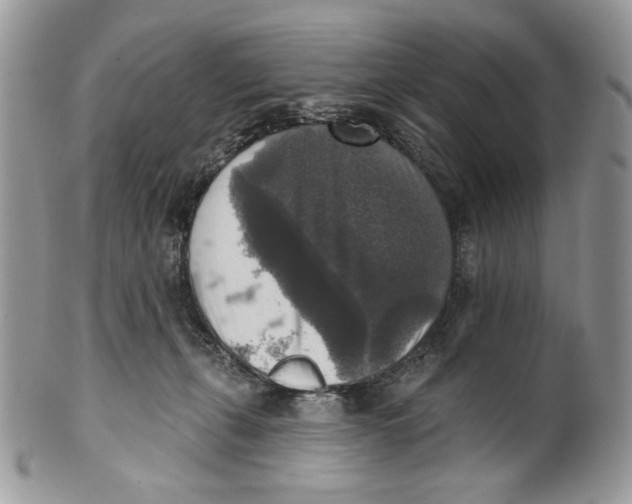 X0000101150271200807251055