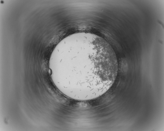 X0000101150272200807251055