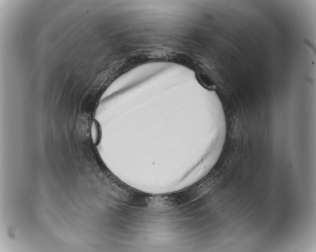 X0000101150273200807251055