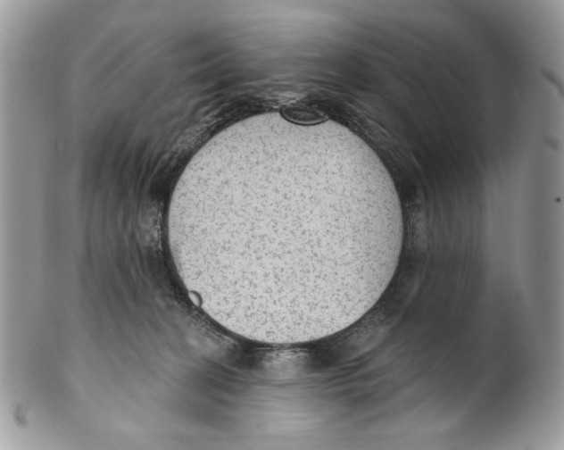 X0000101150274200807251055