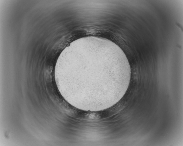 X0000101150275200807251055
