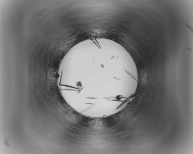 X0000101150276200807251055