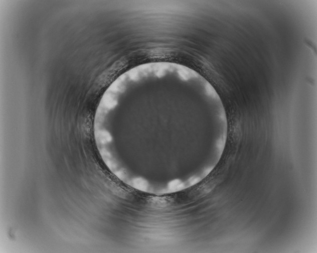 X0000101150277200807251055
