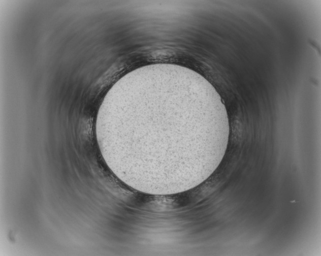 X0000101150278200807251055