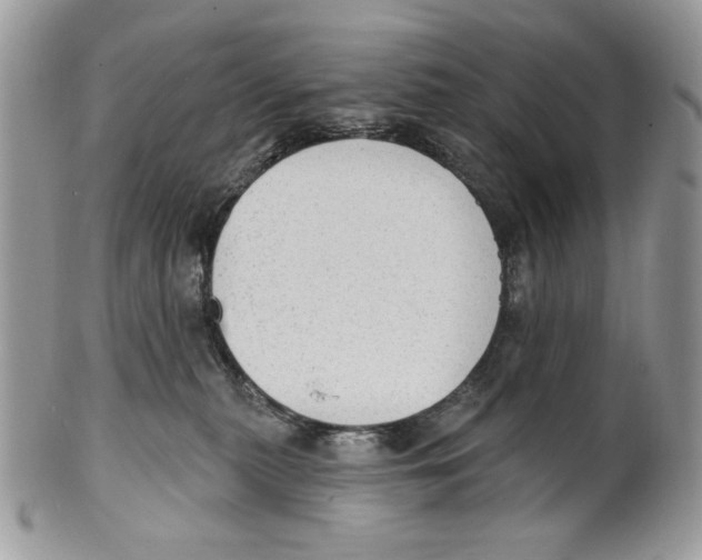 X0000101150279200807251055