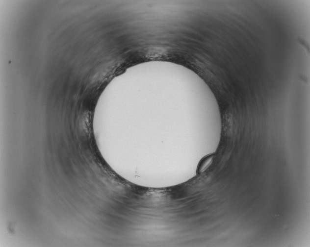 X0000101150280200807251055