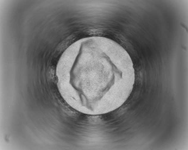 X0000101150281200807251055